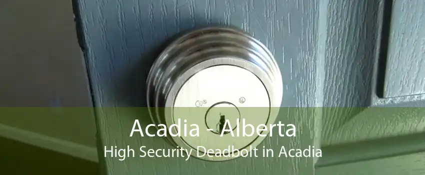 Acadia - Alberta High Security Deadbolt in Acadia