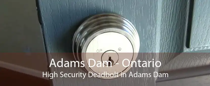 Adams Dam - Ontario High Security Deadbolt in Adams Dam