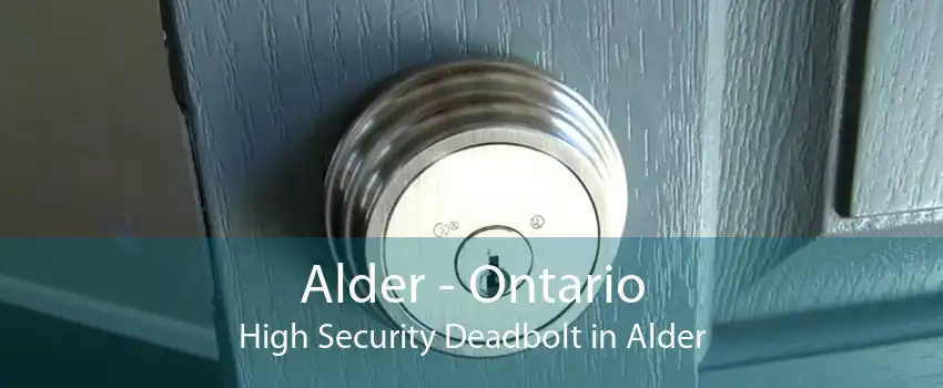 Alder - Ontario High Security Deadbolt in Alder