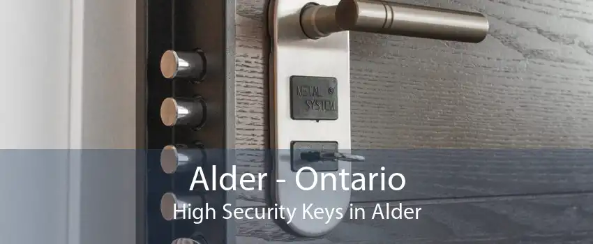 Alder - Ontario High Security Keys in Alder