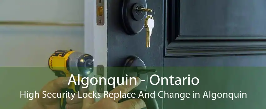Algonquin - Ontario High Security Locks Replace And Change in Algonquin