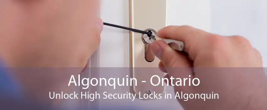 Algonquin - Ontario Unlock High Security Locks in Algonquin
