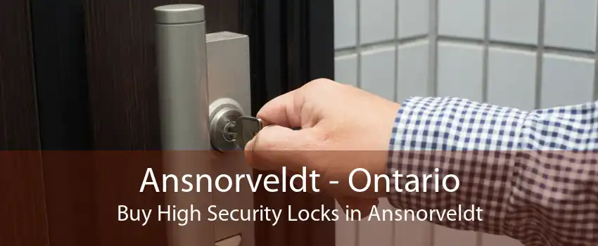 Ansnorveldt - Ontario Buy High Security Locks in Ansnorveldt