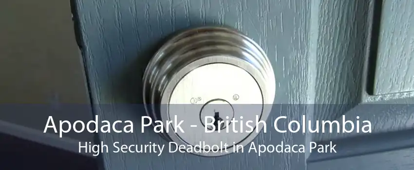 Apodaca Park - British Columbia High Security Deadbolt in Apodaca Park