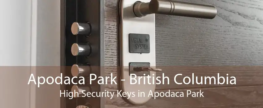 Apodaca Park - British Columbia High Security Keys in Apodaca Park