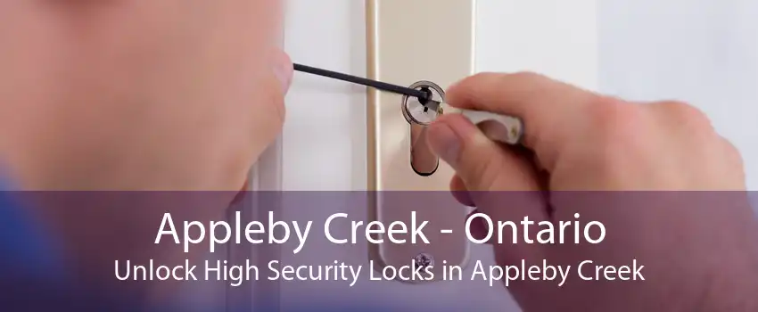 Appleby Creek - Ontario Unlock High Security Locks in Appleby Creek