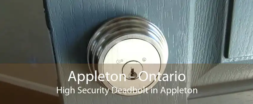 Appleton - Ontario High Security Deadbolt in Appleton