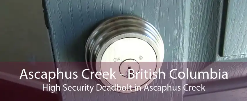Ascaphus Creek - British Columbia High Security Deadbolt in Ascaphus Creek