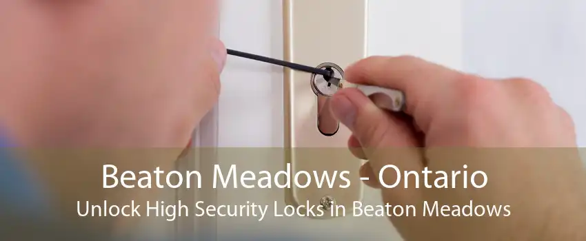 Beaton Meadows - Ontario Unlock High Security Locks in Beaton Meadows