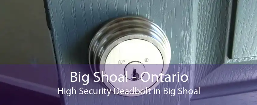 Big Shoal - Ontario High Security Deadbolt in Big Shoal