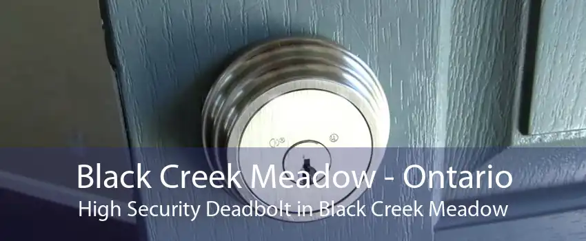 Black Creek Meadow - Ontario High Security Deadbolt in Black Creek Meadow