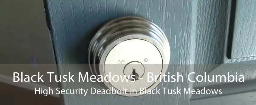 Black Tusk Meadows - British Columbia High Security Deadbolt in Black Tusk Meadows