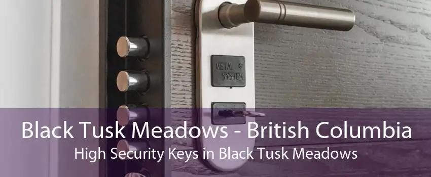 Black Tusk Meadows - British Columbia High Security Keys in Black Tusk Meadows