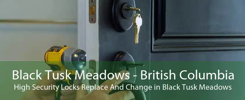 Black Tusk Meadows - British Columbia High Security Locks Replace And Change in Black Tusk Meadows