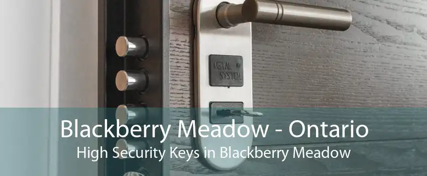 Blackberry Meadow - Ontario High Security Keys in Blackberry Meadow