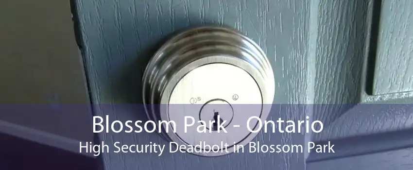 Blossom Park - Ontario High Security Deadbolt in Blossom Park