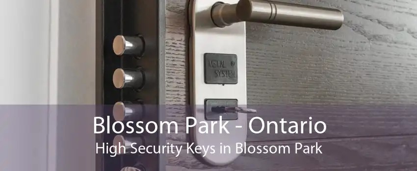 Blossom Park - Ontario High Security Keys in Blossom Park