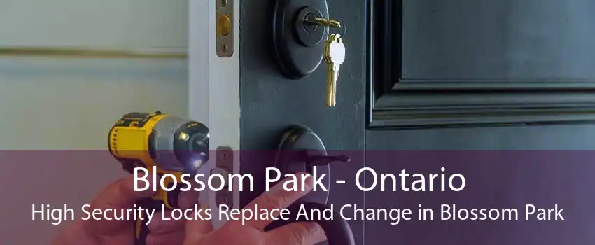 Blossom Park - Ontario High Security Locks Replace And Change in Blossom Park