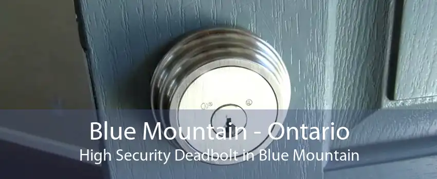 Blue Mountain - Ontario High Security Deadbolt in Blue Mountain