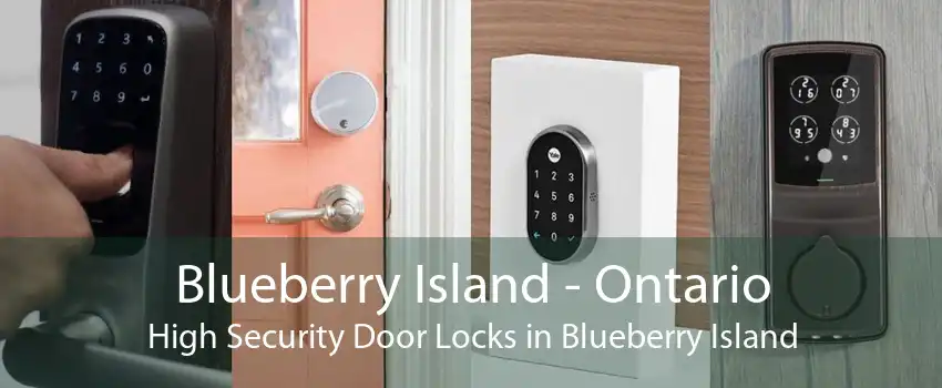 Blueberry Island - Ontario High Security Door Locks in Blueberry Island