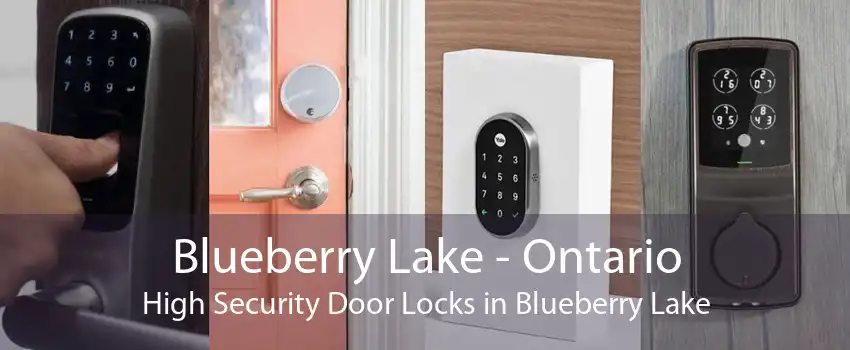 Blueberry Lake - Ontario High Security Door Locks in Blueberry Lake