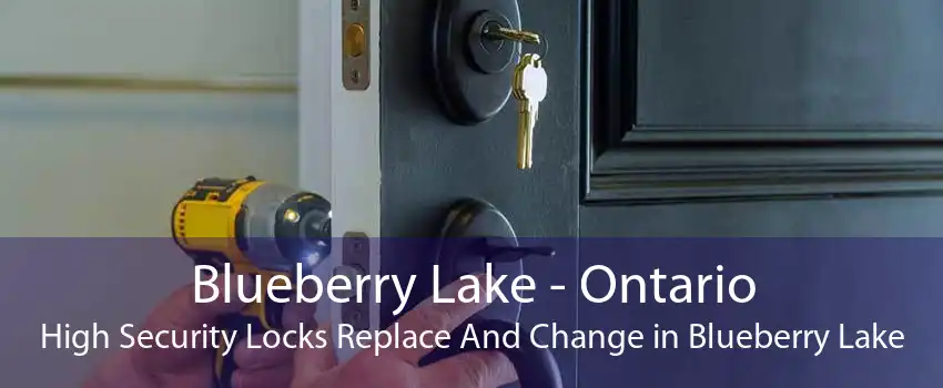Blueberry Lake - Ontario High Security Locks Replace And Change in Blueberry Lake