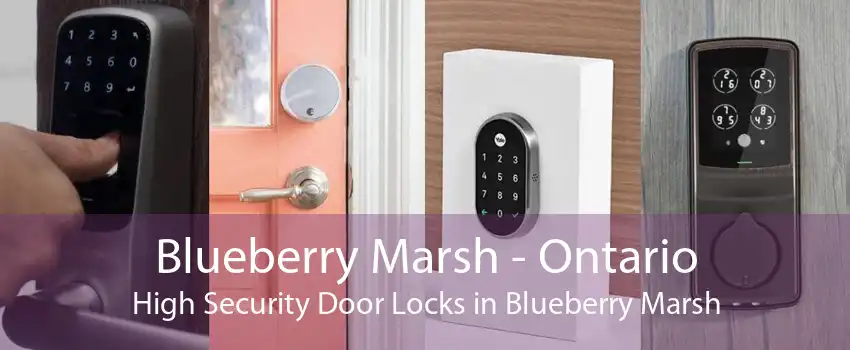 Blueberry Marsh - Ontario High Security Door Locks in Blueberry Marsh