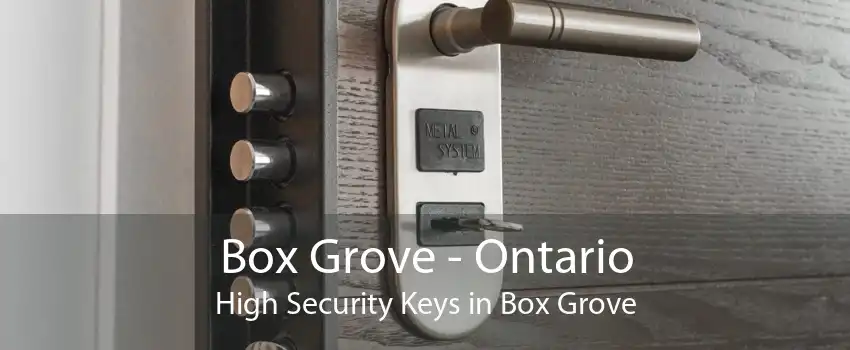 Box Grove - Ontario High Security Keys in Box Grove