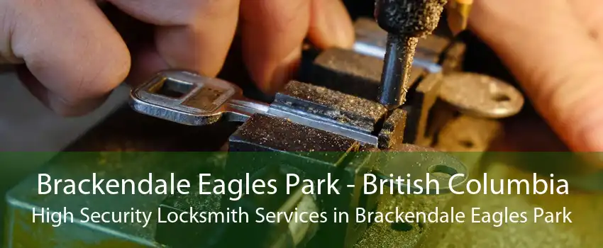 Brackendale Eagles Park - British Columbia High Security Locksmith Services in Brackendale Eagles Park