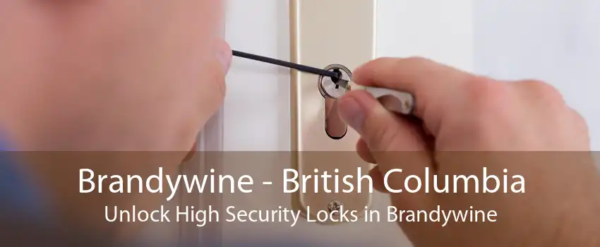 Brandywine - British Columbia Unlock High Security Locks in Brandywine