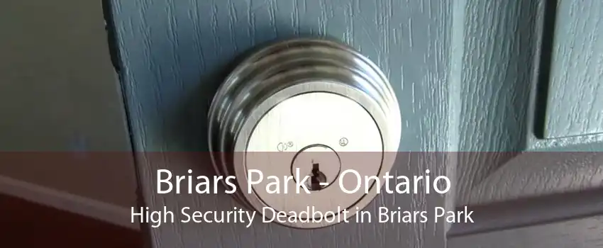 Briars Park - Ontario High Security Deadbolt in Briars Park