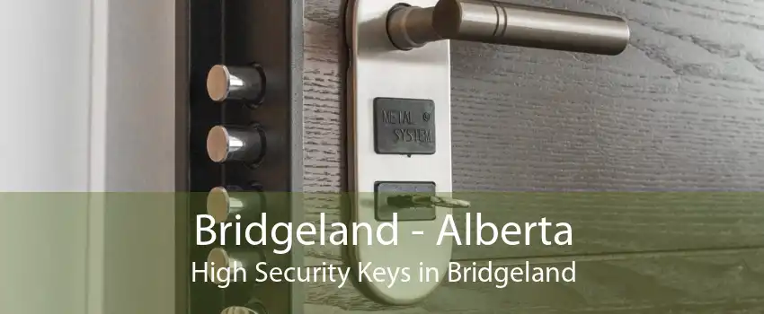 Bridgeland - Alberta High Security Keys in Bridgeland