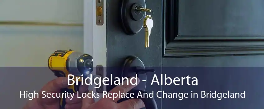 Bridgeland - Alberta High Security Locks Replace And Change in Bridgeland