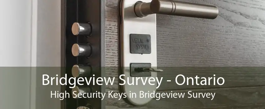 Bridgeview Survey - Ontario High Security Keys in Bridgeview Survey
