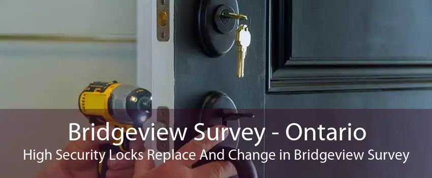 Bridgeview Survey - Ontario High Security Locks Replace And Change in Bridgeview Survey