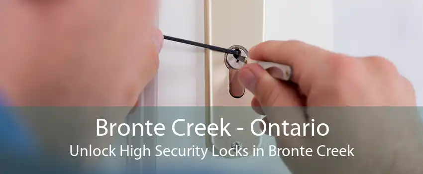 Bronte Creek - Ontario Unlock High Security Locks in Bronte Creek