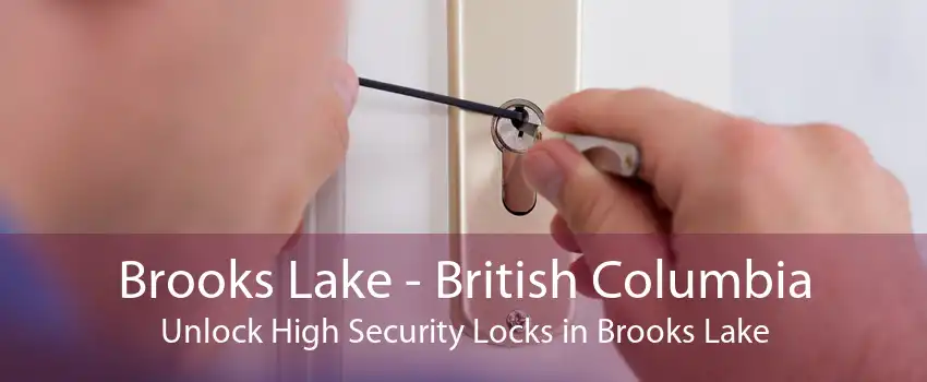 Brooks Lake - British Columbia Unlock High Security Locks in Brooks Lake