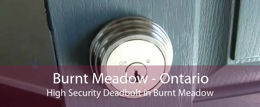 Burnt Meadow - Ontario High Security Deadbolt in Burnt Meadow