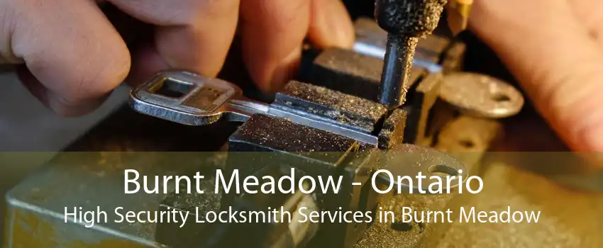 Burnt Meadow - Ontario High Security Locksmith Services in Burnt Meadow