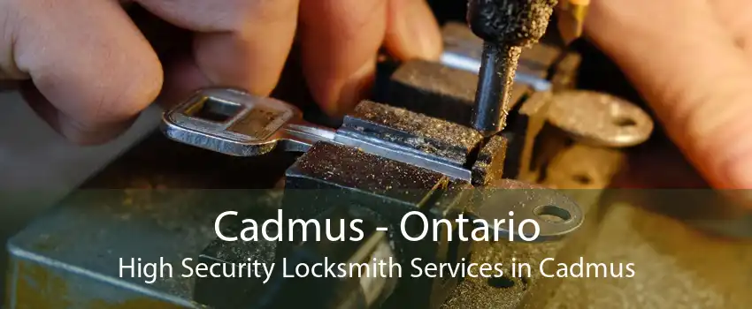 Cadmus - Ontario High Security Locksmith Services in Cadmus