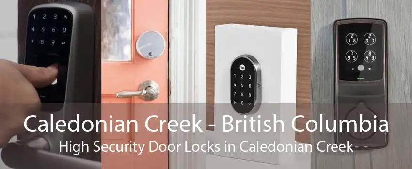 Caledonian Creek - British Columbia High Security Door Locks in Caledonian Creek