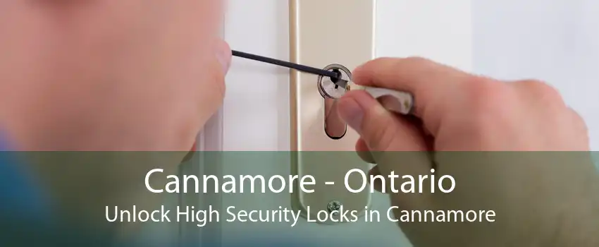 Cannamore - Ontario Unlock High Security Locks in Cannamore