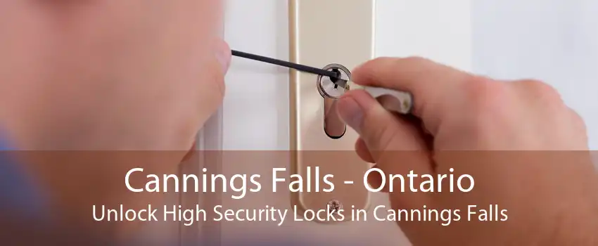 Cannings Falls - Ontario Unlock High Security Locks in Cannings Falls