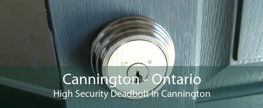 Cannington - Ontario High Security Deadbolt in Cannington