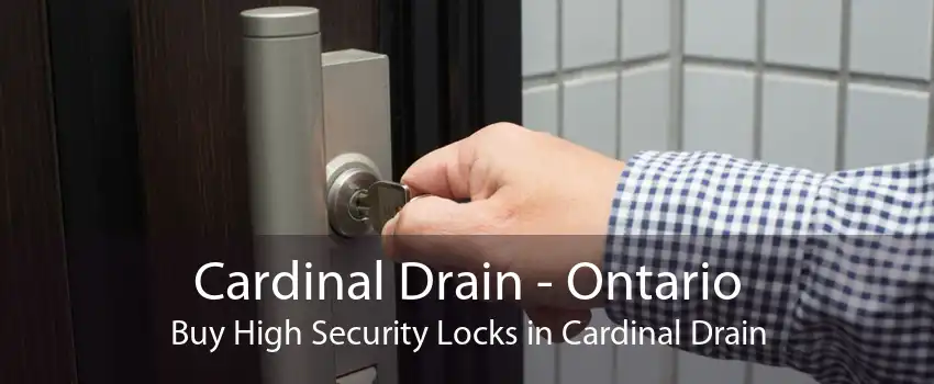 Cardinal Drain - Ontario Buy High Security Locks in Cardinal Drain