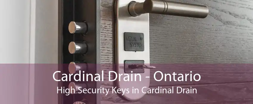 Cardinal Drain - Ontario High Security Keys in Cardinal Drain