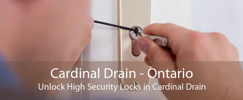 Cardinal Drain - Ontario Unlock High Security Locks in Cardinal Drain
