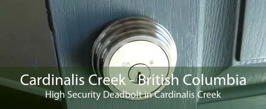 Cardinalis Creek - British Columbia High Security Deadbolt in Cardinalis Creek