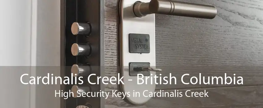 Cardinalis Creek - British Columbia High Security Keys in Cardinalis Creek