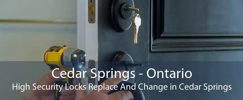 Cedar Springs - Ontario High Security Locks Replace And Change in Cedar Springs